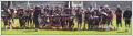  les corsaires d evry - foot us  - Les Corsaires vs Pygargues de Troyes fin de saison